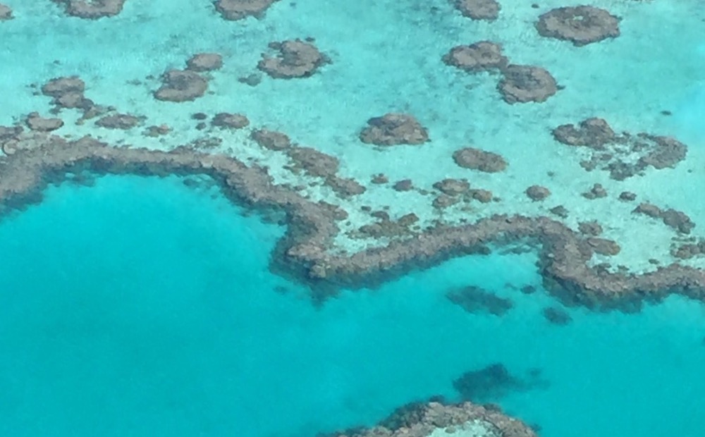Great Barrier Reef - More